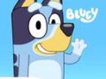 布鲁伊一起玩吧