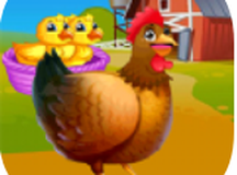 快乐小鸡动物园