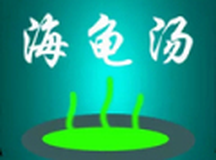 周末海龟汤