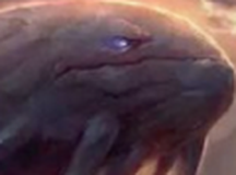 山海经2开局一只鲲进阶全靠吞