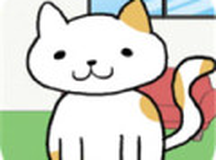 我的猫咪在哪儿