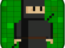 忍者像素艺术冒险