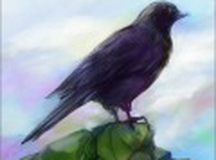 千山飞鸟（含数据包）