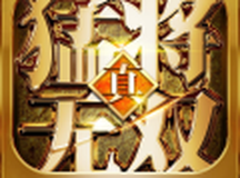 真三国：猛将无双