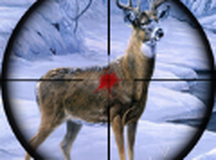 狙击手动物射击3D